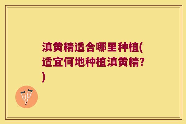 滇黄精适合哪里种植(适宜何地种植滇黄精?) 滇黄精适合哪里种植(适宜何地种植滇黄精?)