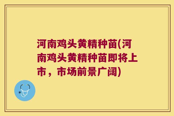 河南鸡头黄精种苗(河南鸡头黄精种苗即将上市,市场前景广阔) 河南鸡头黄精种苗(河南鸡头黄精种苗即将上市,市场前景广阔)