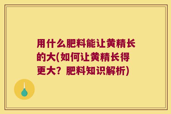 用什么肥料能让黄精长的大(如何让黄精长得更大？肥料知识解析)