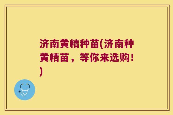 济南黄精种苗(济南种黄精苗，等你来选购！)