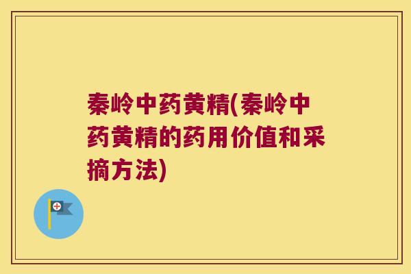 秦岭黄精(秦岭黄精的药用价值和采摘方法) 秦岭黄精(秦岭黄精的药用价值和采摘方法)