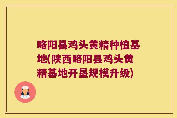 略阳县鸡头黄精种植基地(陕西略阳县鸡头黄精基地开垦规模升级) 略阳县鸡头黄精种植基地(陕西略阳县鸡头黄精基地开垦规模升级)