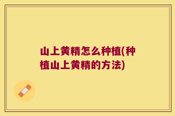 山上黄精怎么种植(种植山上黄精的方法)