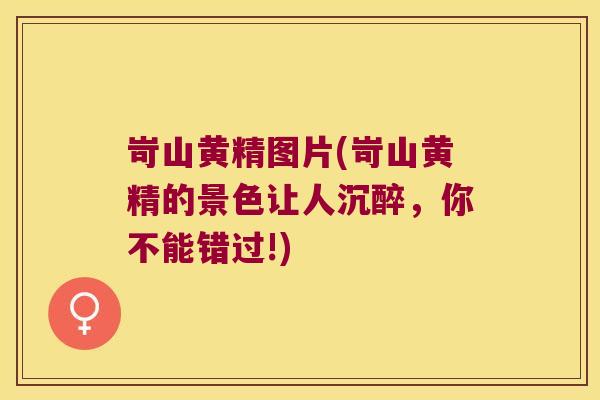 岢山黄精图片(岢山黄精的景色让人沉醉,你不能错过!) 岢山黄精图片(岢山黄精的景色让人沉醉,你不能错过!)