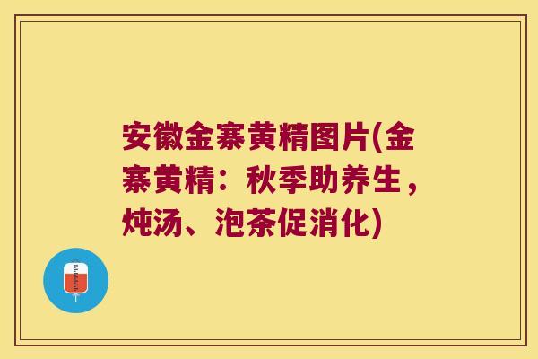 安徽金寨黄精图片(金寨黄精:秋季助养生,炖汤、泡茶促消化) 安徽金寨黄精图片(金寨黄精:秋季助养生,炖汤、泡茶促消化)