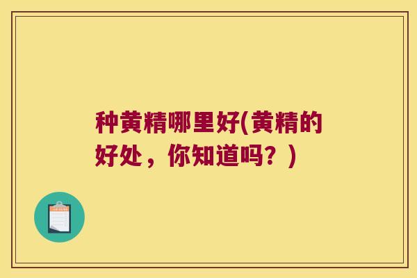 种黄精哪里好(黄精的好处，你知道吗？)
