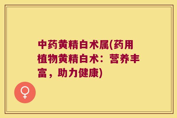 黄精白术属(药用植物黄精白术:营养丰富,助力健康) 黄精白术属(药用植物黄精白术:营养丰富,助力健康)