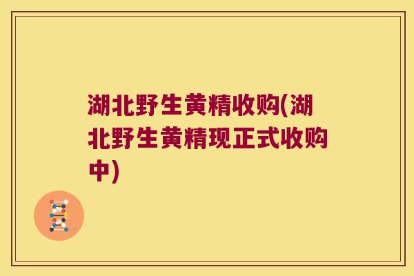 湖北野生黄精收购(湖北野生黄精现正式收购中) 湖北野生黄精收购(湖北野生黄精现正式收购中)