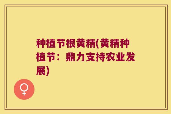 种植节根黄精(黄精种植节:鼎力支持农业发展) 种植节根黄精(黄精种植节:鼎力支持农业发展)