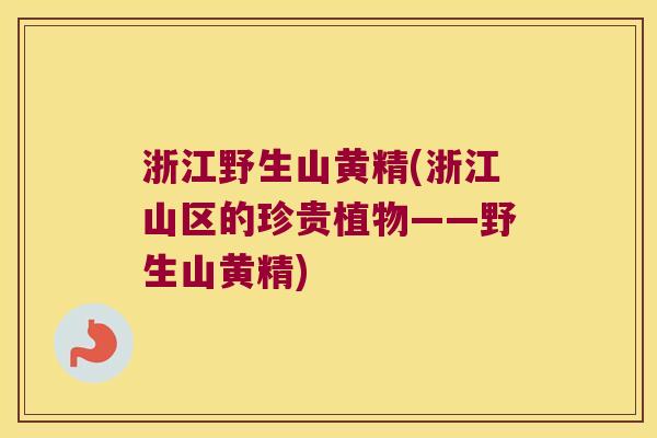浙江野生山黄精(浙江山区的珍贵植物——野生山黄精)