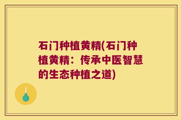 石门种植黄精(石门种植黄精：传承中医智慧的生态种植之道)