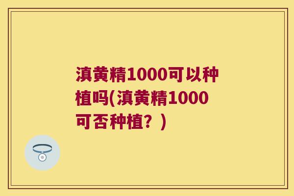 滇黄精1000可以种植吗(滇黄精1000可否种植？)