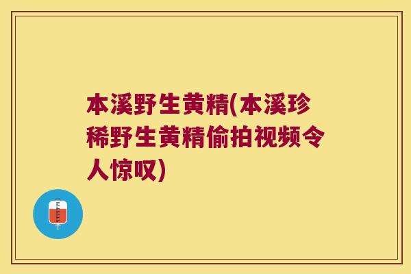 本溪野生黄精(本溪珍稀野生黄精偷拍视频令人惊叹)