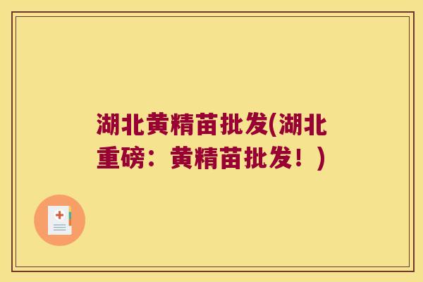 湖北黄精苗批发(湖北重磅：黄精苗批发！)