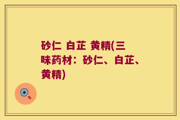 砂仁 白芷 黄精(三味药材:砂仁、白芷、黄精) 砂仁 白芷 黄精(三味药材:砂仁、白芷、黄精)