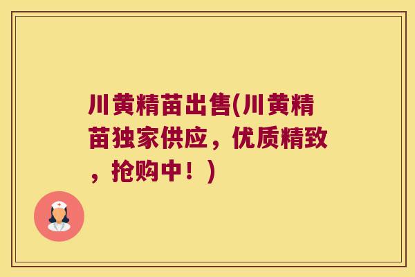 川黄精苗出售(川黄精苗独家供应,优质精致,抢购中!) 川黄精苗出售(川黄精苗独家供应,优质精致,抢购中!)