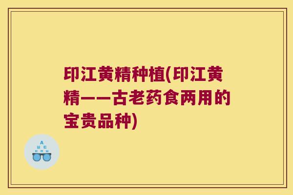印江黄精种植(印江黄精——古老药食两用的宝贵品种)