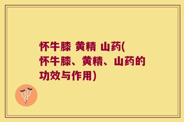 怀牛膝 黄精 山药(怀牛膝、黄精、山药的功效与作用) 怀牛膝 黄精 山药(怀牛膝、黄精、山药的功效与作用)