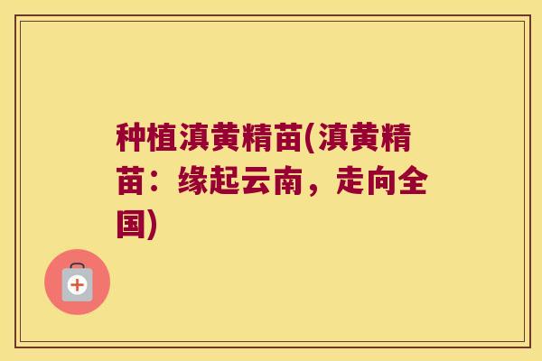 种植滇黄精苗(滇黄精苗：缘起云南，走向全国)