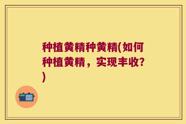 种植黄精种黄精(如何种植黄精，实现丰收？)