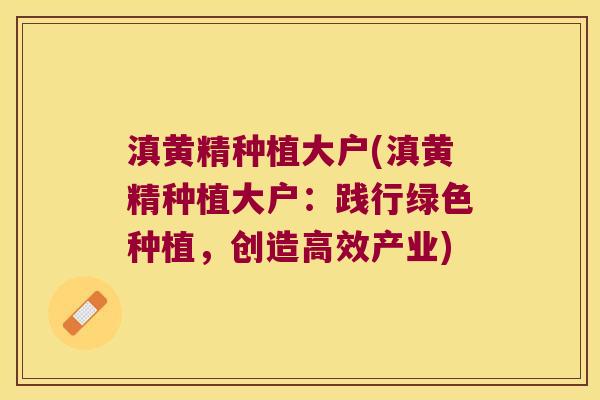滇黄精种植大户(滇黄精种植大户：践行绿色种植，创造高效产业)