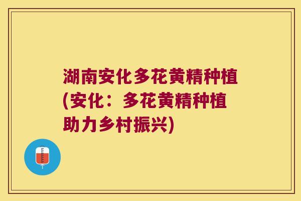 湖南安化多花黄精种植(安化:多花黄精种植助力乡村振兴) 湖南安化多花黄精种植(安化:多花黄精种植助力乡村振兴)