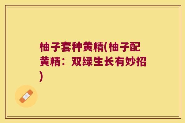 柚子套种黄精(柚子配黄精：双绿生长有妙招)