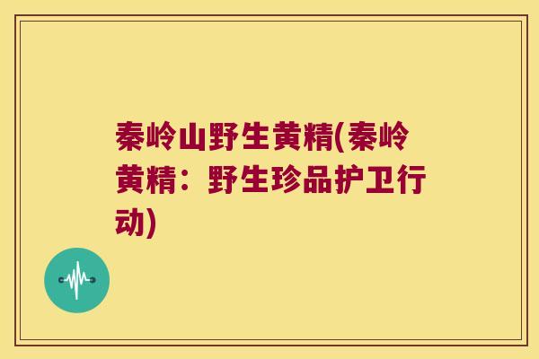 秦岭山野生黄精(秦岭黄精:野生珍品护卫行动) 秦岭山野生黄精(秦岭黄精:野生珍品护卫行动)