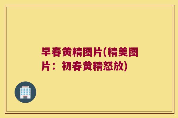 早春黄精图片(精美图片：初春黄精怒放)