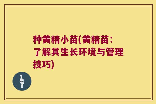 种黄精小苗(黄精苗:了解其生长环境与管理技巧) 种黄精小苗(黄精苗:了解其生长环境与管理技巧)