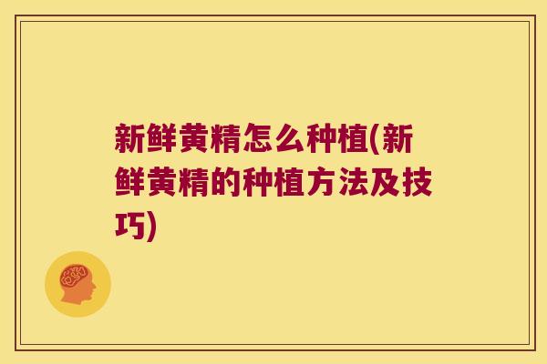新鲜黄精怎么种植(新鲜黄精的种植方法及技巧)