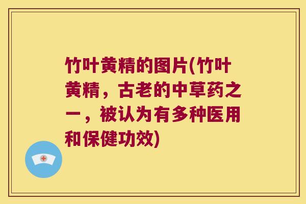 竹叶黄精的图片(竹叶黄精,古老的中草药之一,被认为有多种医用和保健功效) 竹叶黄精的图片(竹叶黄精,古老的中草药之一,被认为有多种医用和保健功效)
