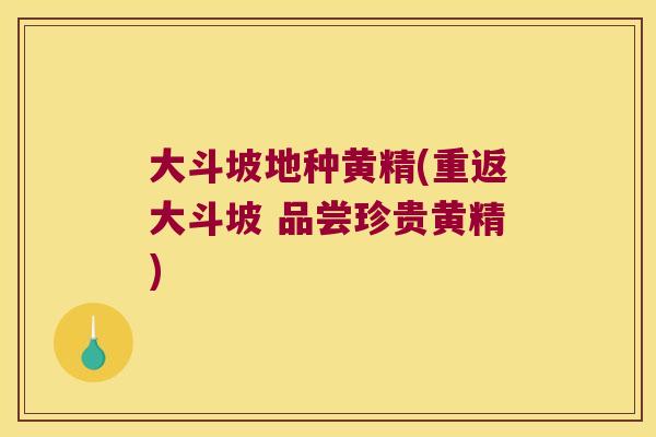 大斗坡地种黄精(重返大斗坡 品尝珍贵黄精)