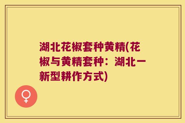湖北花椒套种黄精(花椒与黄精套种:湖北一新型耕作方式) 湖北花椒套种黄精(花椒与黄精套种:湖北一新型耕作方式)