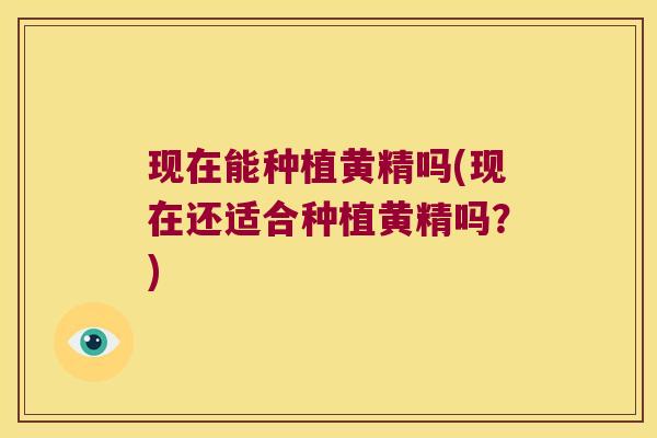 现在能种植黄精吗(现在还适合种植黄精吗?) 现在能种植黄精吗(现在还适合种植黄精吗?)