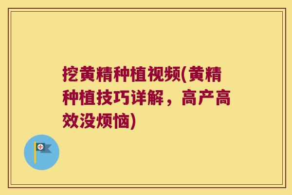 挖黄精种植视频(黄精种植技巧详解,高产高效没烦恼) 挖黄精种植视频(黄精种植技巧详解,高产高效没烦恼)