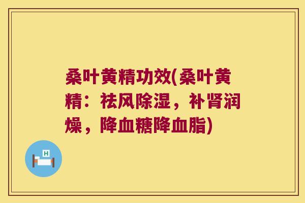 桑叶黄精功效(桑叶黄精：祛风除湿，补润燥，降降)