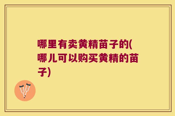 哪里有卖黄精苗子的(哪儿可以购买黄精的苗子)