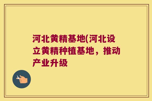 河北黄精基地(河北设立黄精种植基地,推动产业升级 河北黄精基地(河北设立黄精种植基地,推动产业升级