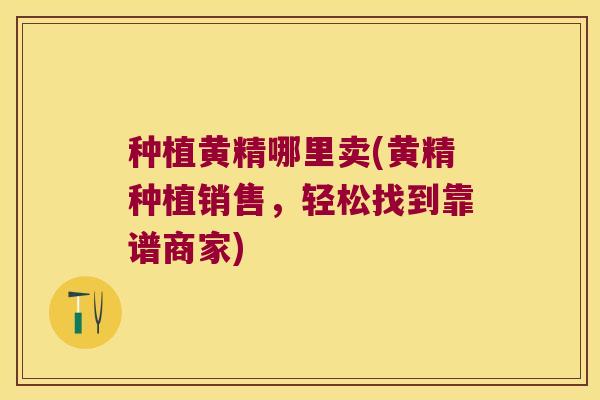 种植黄精哪里卖(黄精种植销售，轻松找到靠谱商家)