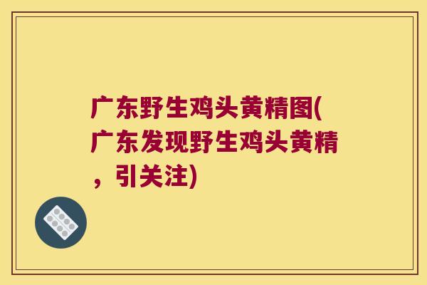 广东野生鸡头黄精图(广东发现野生鸡头黄精，引关注)