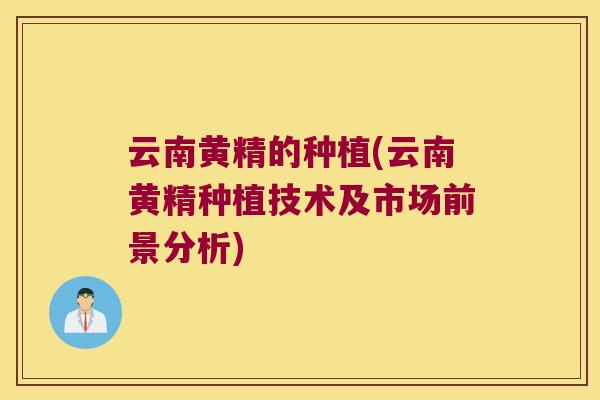 云南黄精的种植(云南黄精种植技术及市场前景分析)