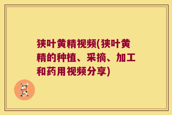 狭叶黄精视频(狭叶黄精的种植、采摘、加工和药用视频分享) 狭叶黄精视频(狭叶黄精的种植、采摘、加工和药用视频分享)
