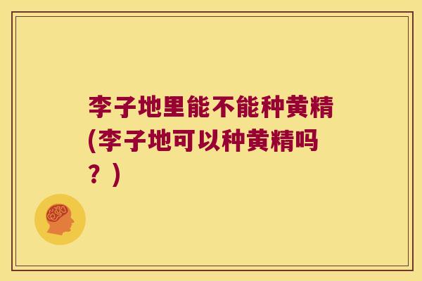 李子地里能不能种黄精(李子地可以种黄精吗？)