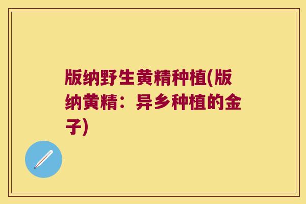 版纳野生黄精种植(版纳黄精:异乡种植的金子) 版纳野生黄精种植(版纳黄精:异乡种植的金子)