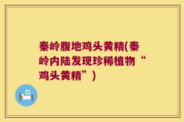 秦岭腹地鸡头黄精(秦岭内陆发现珍稀植物“鸡头黄精”) 秦岭腹地鸡头黄精(秦岭内陆发现珍稀植物“鸡头黄精”)