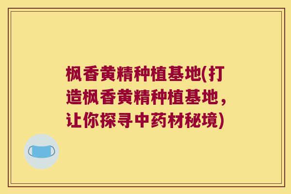枫香黄精种植基地(打造枫香黄精种植基地，让你探寻材秘境)