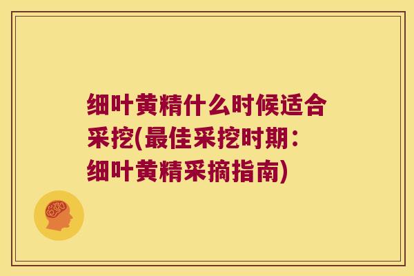 细叶黄精什么时候适合采挖(佳采挖时期:细叶黄精采摘指南) 细叶黄精什么时候适合采挖(佳采挖时期:细叶黄精采摘指南)