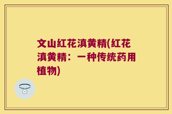 文山红花滇黄精(红花滇黄精:一种传统药用植物) 文山红花滇黄精(红花滇黄精:一种传统药用植物)