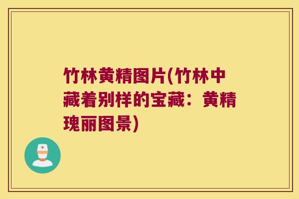 竹林黄精图片(竹林中藏着别样的宝藏:黄精瑰丽图景) 竹林黄精图片(竹林中藏着别样的宝藏:黄精瑰丽图景)